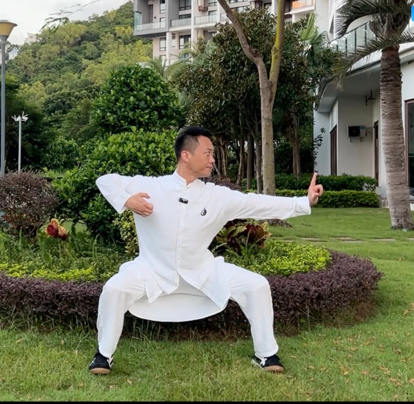 77 Minutes to Rebalance Your Qi and Refresh the Day